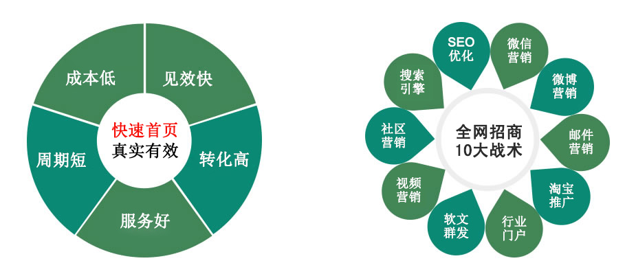 百度关键词快速排名方案